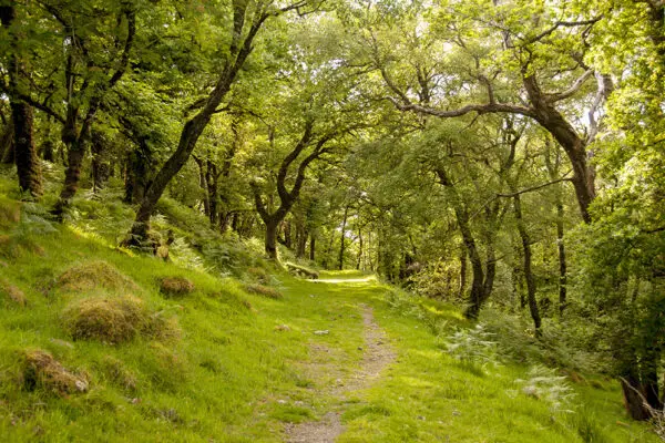 Dartmoor