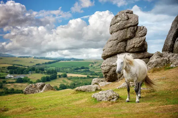 Dartmoor