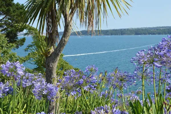 English Riviera